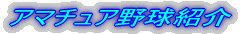 シニアリーグ