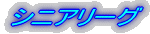 シニアリーグ