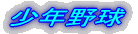 シニアリーグ